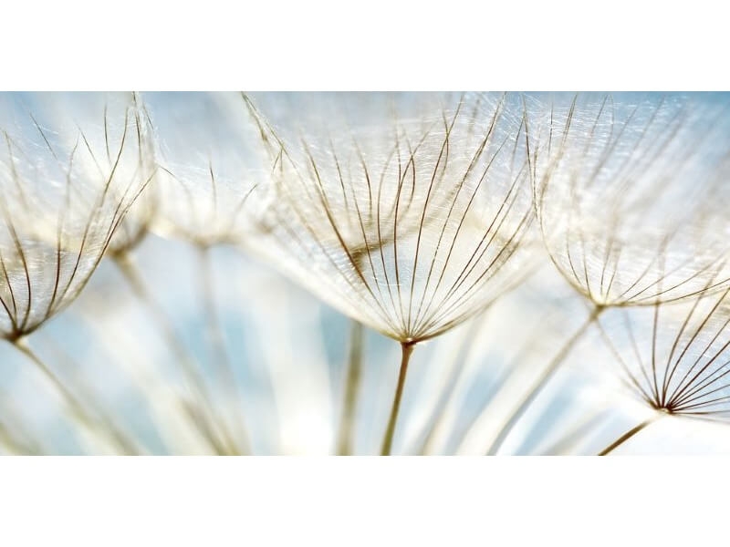 JOÃO CASTRO DOS SANTOS